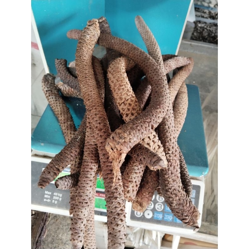 งวงตาล​ตัวผู้  ขายตากแห้ง1กก100บาท​(สำหรับ​ปลากัด​ปลาสวยงามหรือต้มดืมทำชาแก้โรค)​
