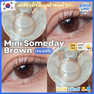 คอนแทคเลนส์ Mini Someday Brown/ Gray (Kitty Kawaii) ขนาดมินิ 🌷 ธรรมชาติ ตาหวาน