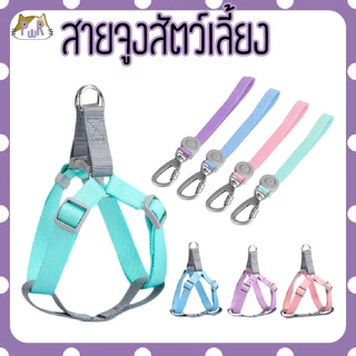 สายจูง ที่รัดอก สำหรับสัตว์เลี้ยง dog leashes [สายเทา]