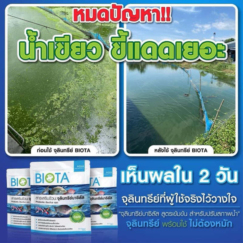 BIOTA จุลินทรีย์พร้อมใช้ไม่ต้องหมัก  ราคายกลัง 12 ซอง สูตรเข้มข้น สำหรับปรับสภาพน้ำ" ขนาด 1 กิโลกรัม