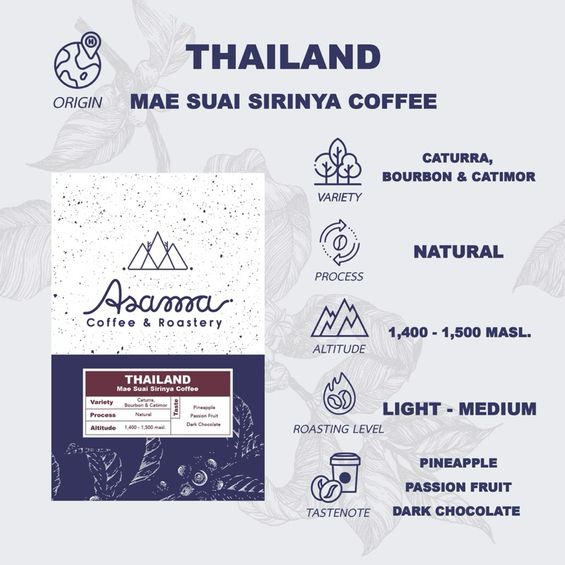 เมล็ดกาแฟคั่วอ่อน Thailand Mae Suai Sirinya Natural process 200 กรัม