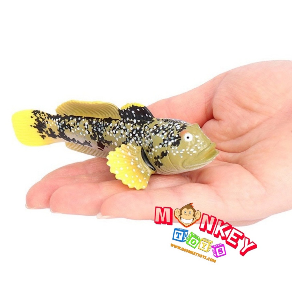 Monkey Toys - โมเดลสัตว์ ปลา ตีน ขนาด 11.00 CM (จากหาดใหญ่)