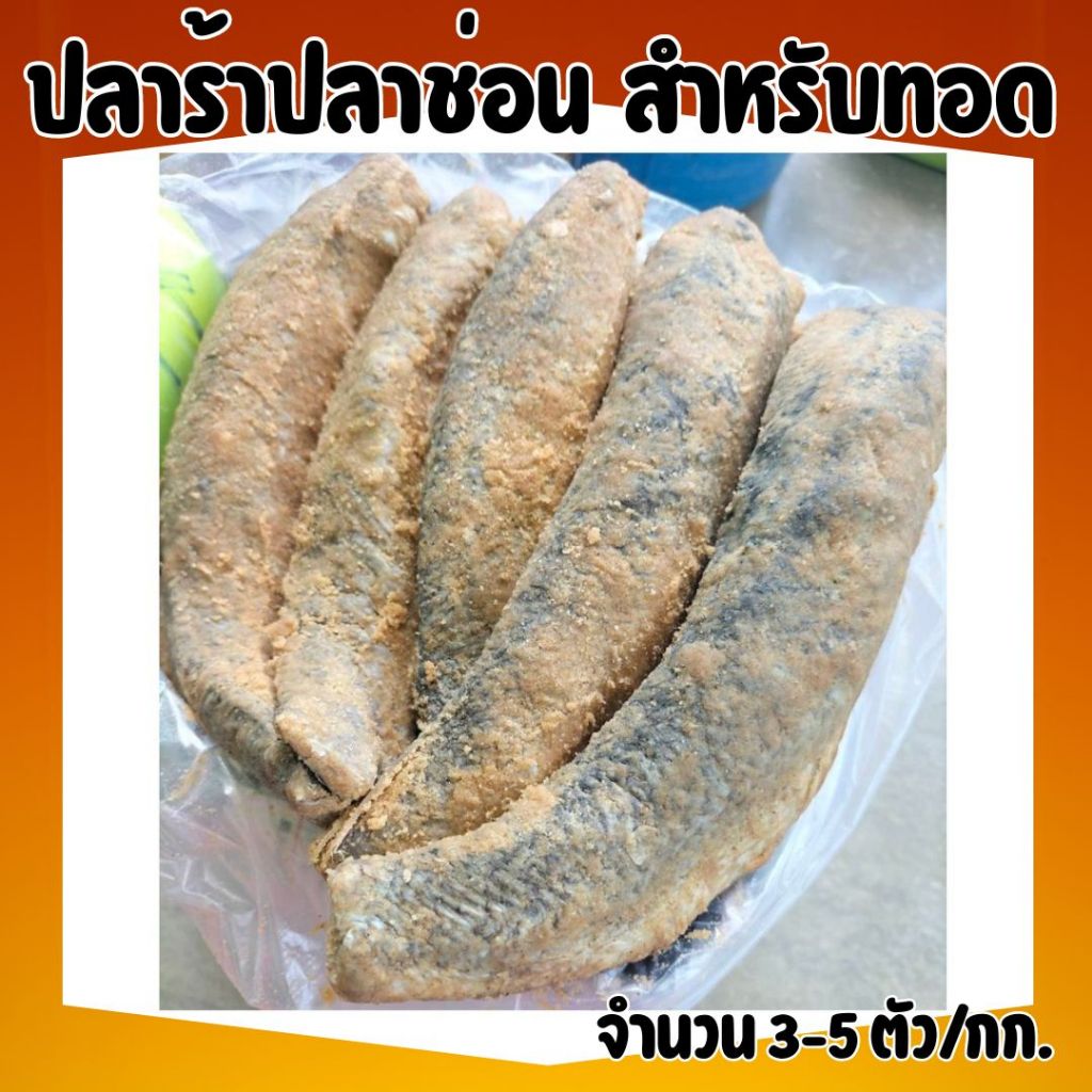 🔥สินค้าแนะนำ🔥ปลาร้าปลาช่อน ตัวใหญ่ เนื้อเยอะ สำหรับทอด (นน.1,000g.) ขนาด 2-4 ตัว