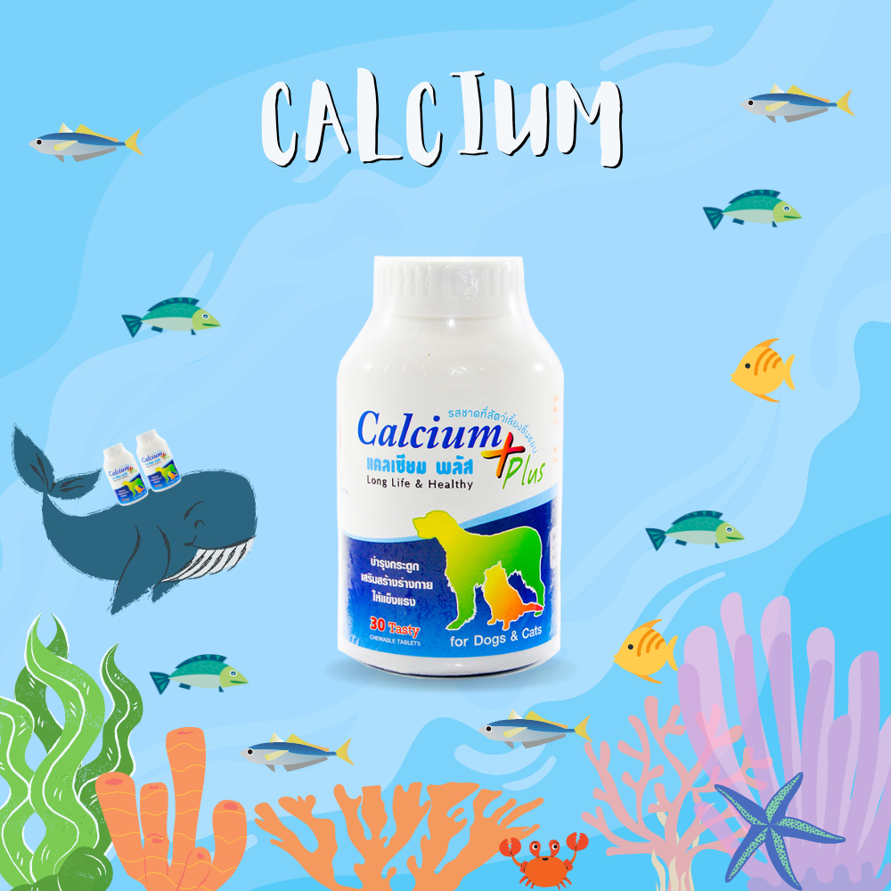 Calcium Plus long life แคลเซียม พลัส