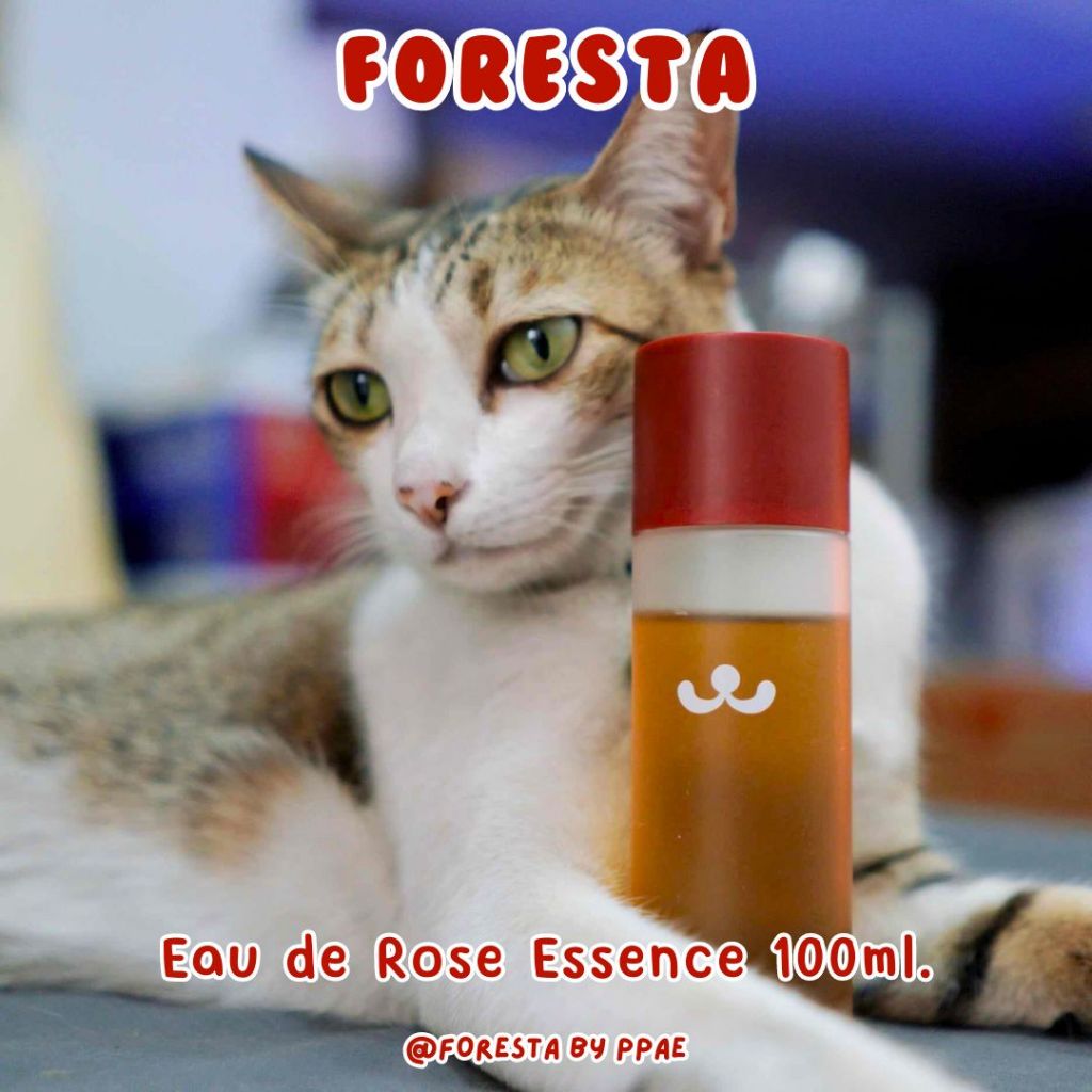 (ตัวแทน) Foresta น้ำตบชากุหลาบ Eau de Rose Essence
