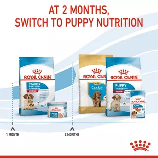 Royal Canin Mini Starter 3kg สำหรับ แม่สุนัข ตั้งท้อง และ ลูกสุนัข พันธุ์เล็ก 3 kg / 1kg. มี 2 ขนาด
