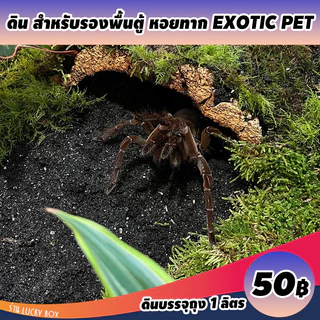ดินเลี้ยงทาก หอยทาก ดินรองพื้นตู้ Vivarium Exotic pet ลิตรละ 50 บาท
