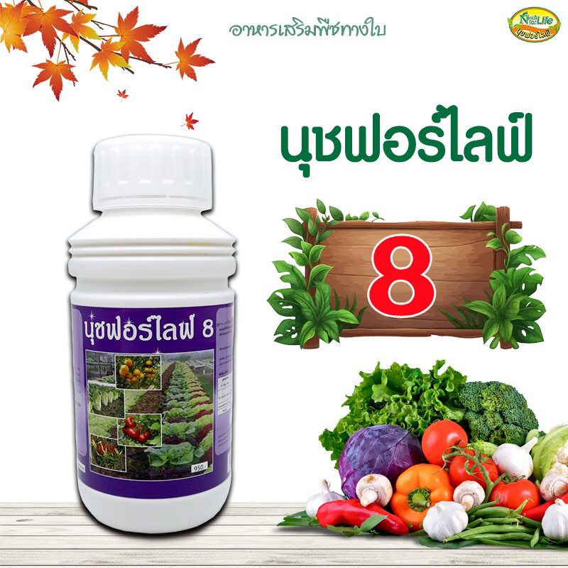 นุชฟอร์ไลฟ์ 8 (สินค้าเกษตร) อาหารเสริมพืช