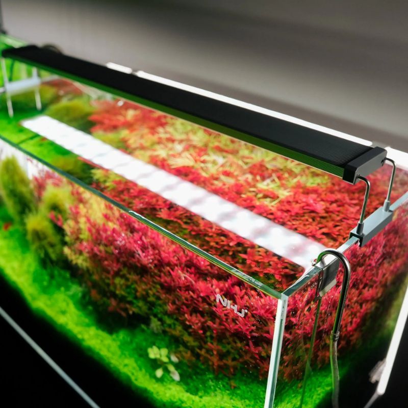 Chihiros B Series LED Lighting System