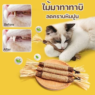 ไม้แมวเมา ไม้มาทาทาบิ ขัดฟันแมว ไม้ขัดฟัน ลดคราบหินปูน ของเล่นแมว ไม้แปรงฟันแมว