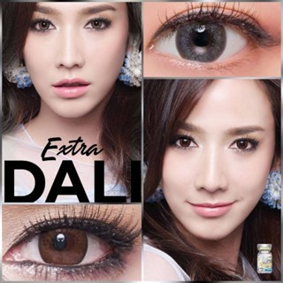 คอนแทคเลนส์ Extra Dali Brown น้ำตาล​ & Gray​สีเทา (Beautylen…