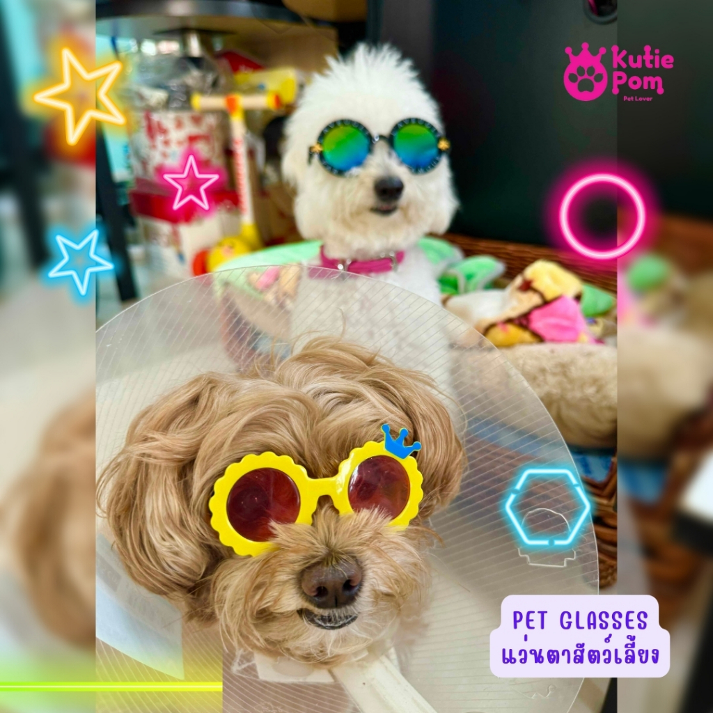Kutiepom แว่นตาน้องหมา น้องแมว ลายดอกไม้มีมงกุฎ Cute Flower with Crown Glass for Dog and Cat