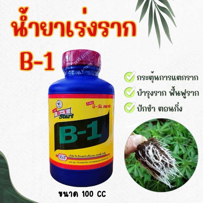 น้ำยาเร่งราก วิตามินB1 บีวัน บำรุงราก เร่งราก แคคตัส กระบองเพชร ไม้ด่าง ไม้ประดับ