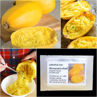 ของแท้ 100% เมล็ดพันธุ์ ฟักทอง สปาเก็ตตี้ Spaghetti Squash S…