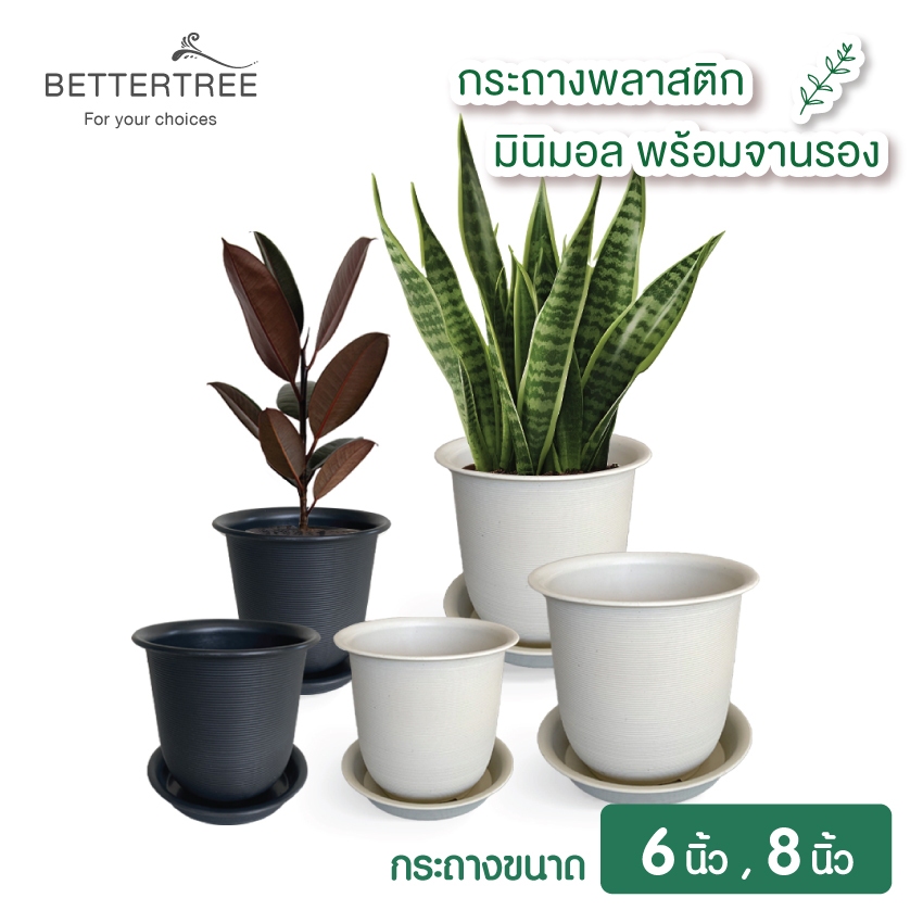 กระถางพลาสติกมินิมอลทรงสวอน (พร้อมจานรอง) กระถางต้นไม้ กระถางพลาสติก