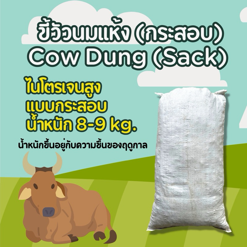 (สั่งครั้งละไม่เกิน 2 กระสอบ) ขี้วัวนมแห้ง 1 กระสอบ Cow Dung (Sack) ไม่มีสาร ไม่มีโซดาไฟ บำรุงดินพืช
