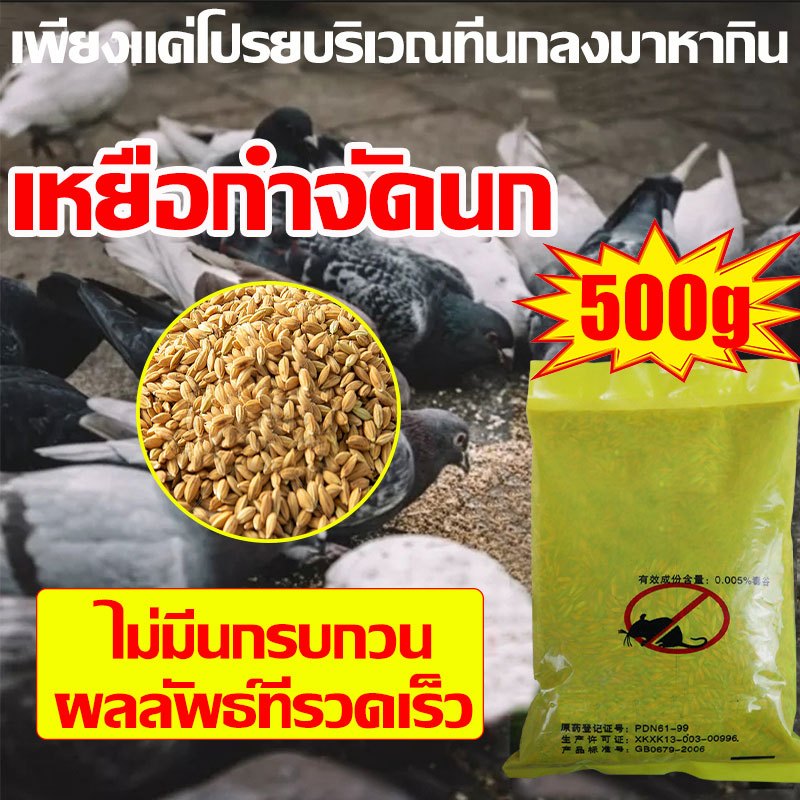 บอกลาขี้นกที่กวนใจ เหยื่อกำจัดนก 500g เหยื่อกำจัดนกพิราบ ตายแห้งไม่เหม็น ยาเบื่อนก ยากำจัดนกพิราบ ยาฆ่านก ยาเบือหนู