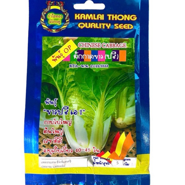 ผักกาดขาวปลี ขาวปลี พันธุ์เบา ประมาณ 1800 เมล็ด