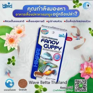 Hikari Fancy Guppy 22 g. อาหารปลาพันธุ์เล็ก ปลาหางนกยุง (มีกลิ่นหอมของปลาหมึก)