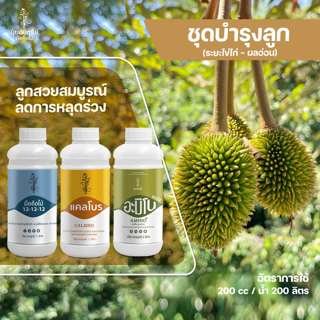 ชุดบำรุงผลอ่อน  ลูกสวยสมบูรณ์ ลดการหลุดร่วง (ระยะไข่ไก่)