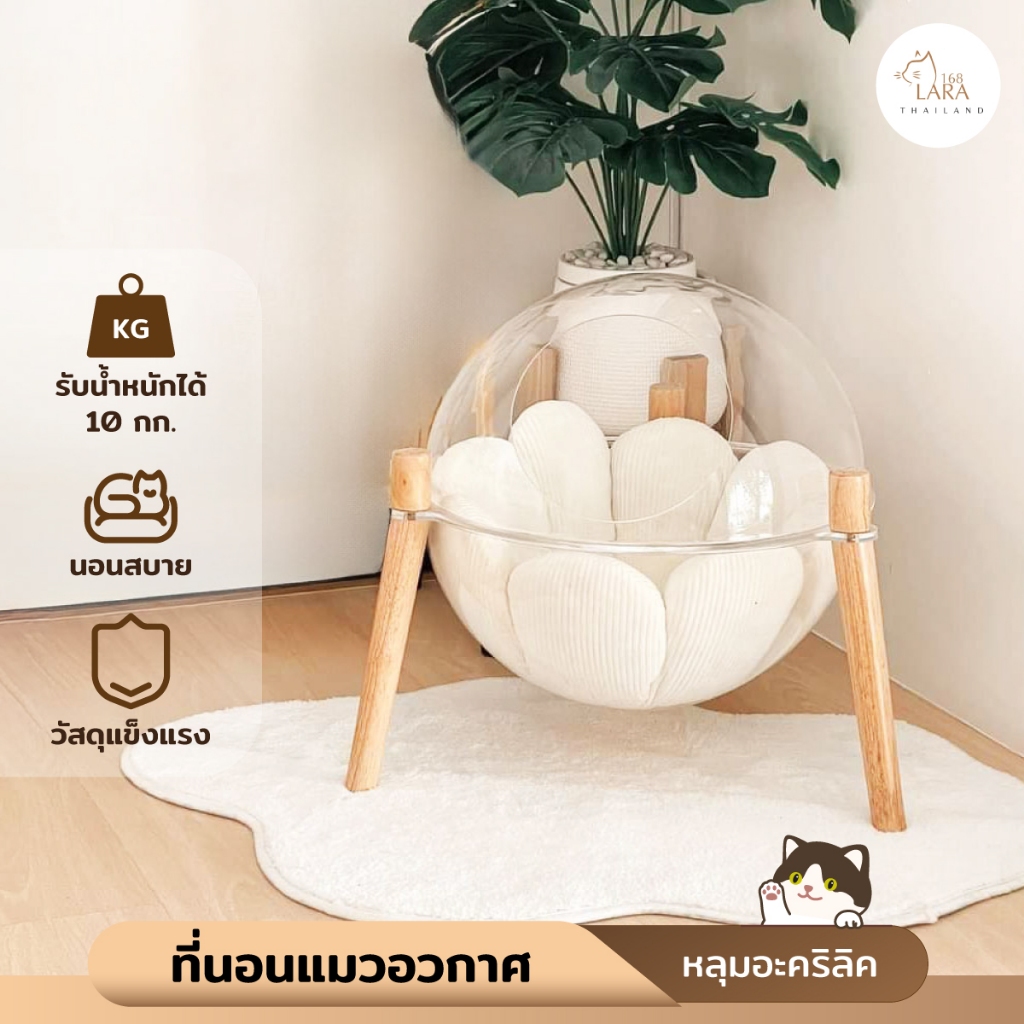 🌈ที่นอนแมวอวกาศ​‼️ หลุมอะคริลิค​ ขนาดใหญ่​  ที่นอนแมวอะคริลิ​ค​ พร้อมส่ง ( A01 )
