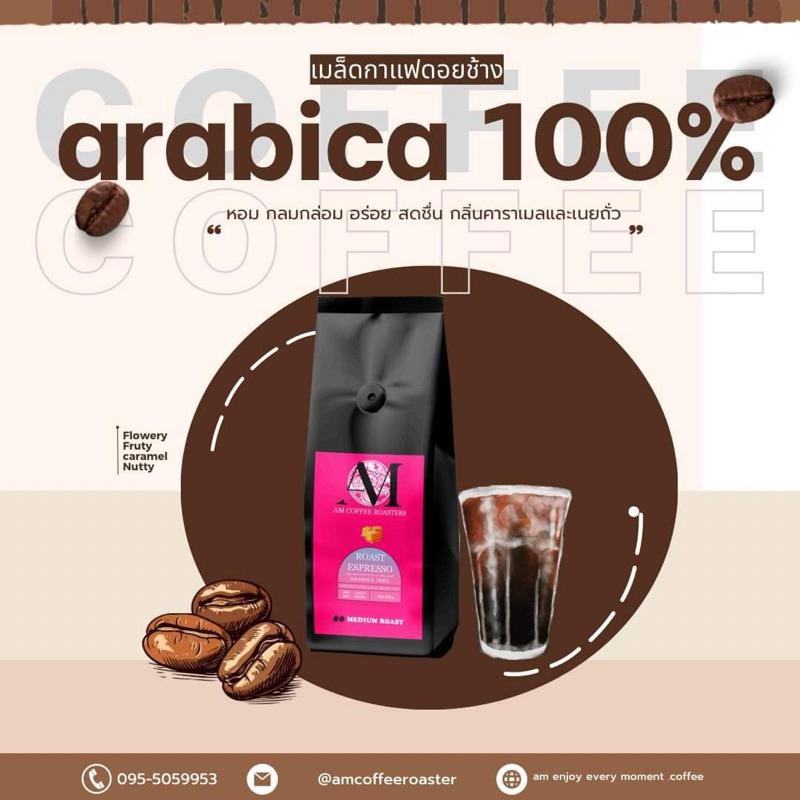เมล็ดกาแฟดอยช้าง คั่วกลาง อราบีก้า AM COFFEE ROASTERS