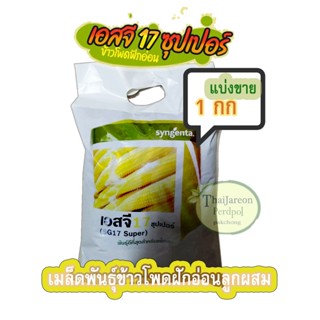 ข้าวโพดฝักอ่อน SG17 ซุปเปอร์ ข้าวโพดแอ้ ลูกผสม Syngenta แบ่ง…