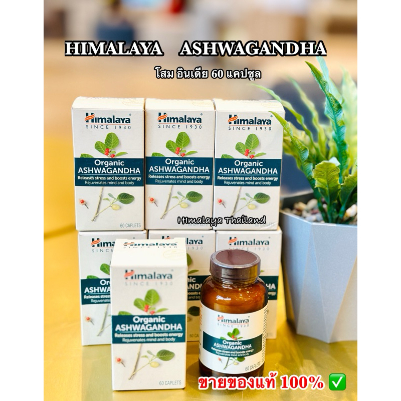 Himalaya Ashwagandha 60 Caplets โสมอินเดียสกัด 60 เม็ดUSA