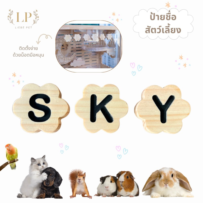 LP8 ป้ายชื่อสัตว์เลี้ยง สำหรับนก ชินชิลล่า กระรอก รูปทรงดอกไม้ เลือกอักษรได้ ติดตั้งง่าย ทำจากไม้สนเ