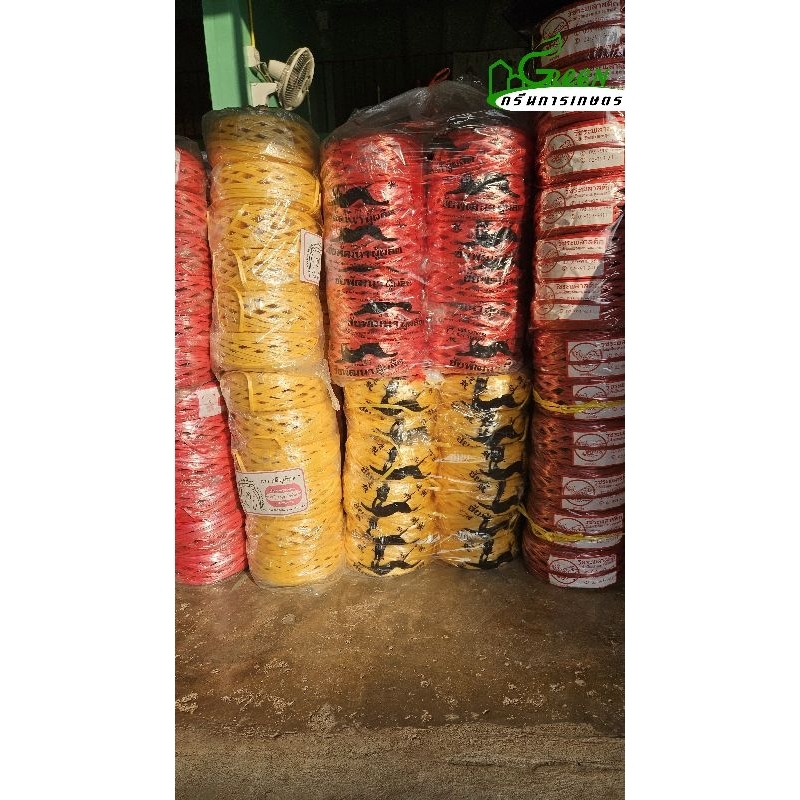 [ถูกที่สุด] พร้อมจัดส่ง!! 1 โหล 12ม้วน เชือกโยงทุเรียนตราแมวดำ นิ่ม,เหนียว น้ำหนัก 0.5กิโล/ม้วน