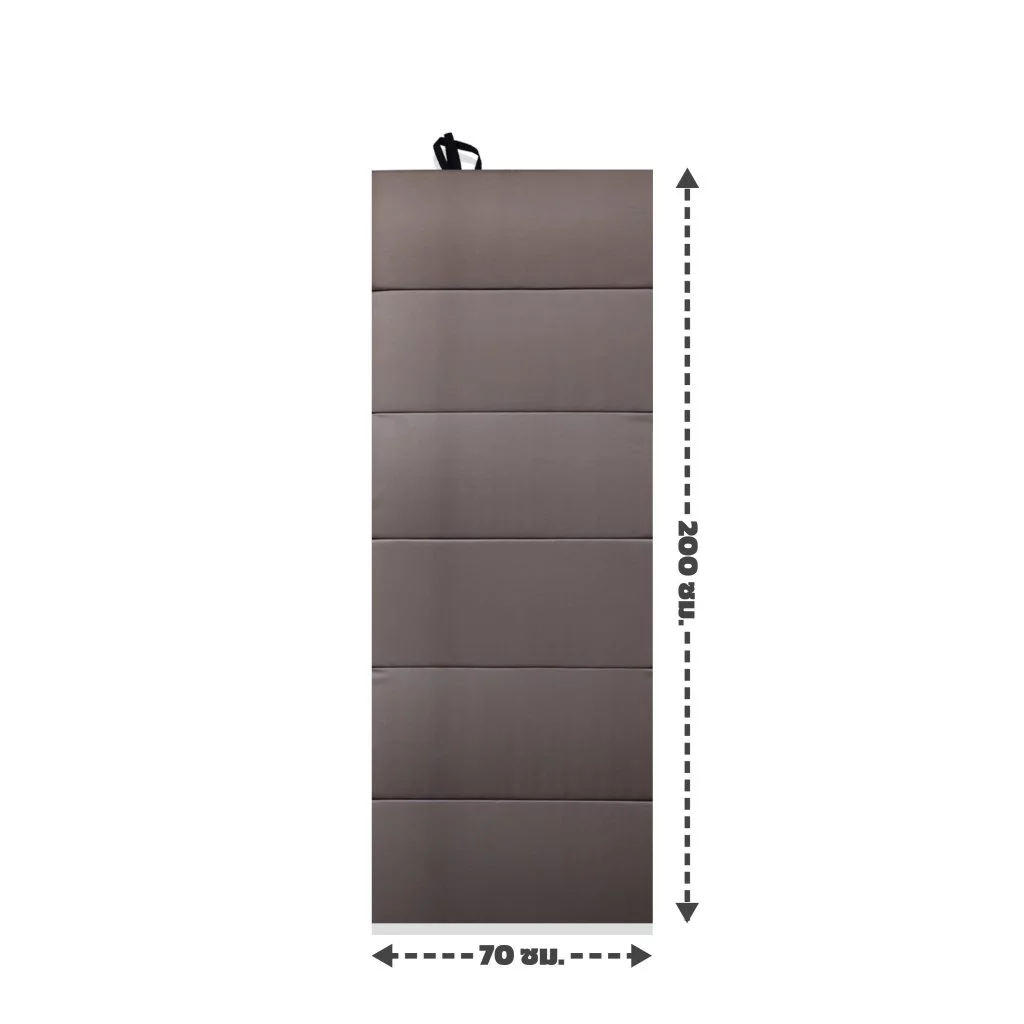 PRO Field and Camping แผ่นปูรองนอนสี 25 มิล. สีCHOCOLATE