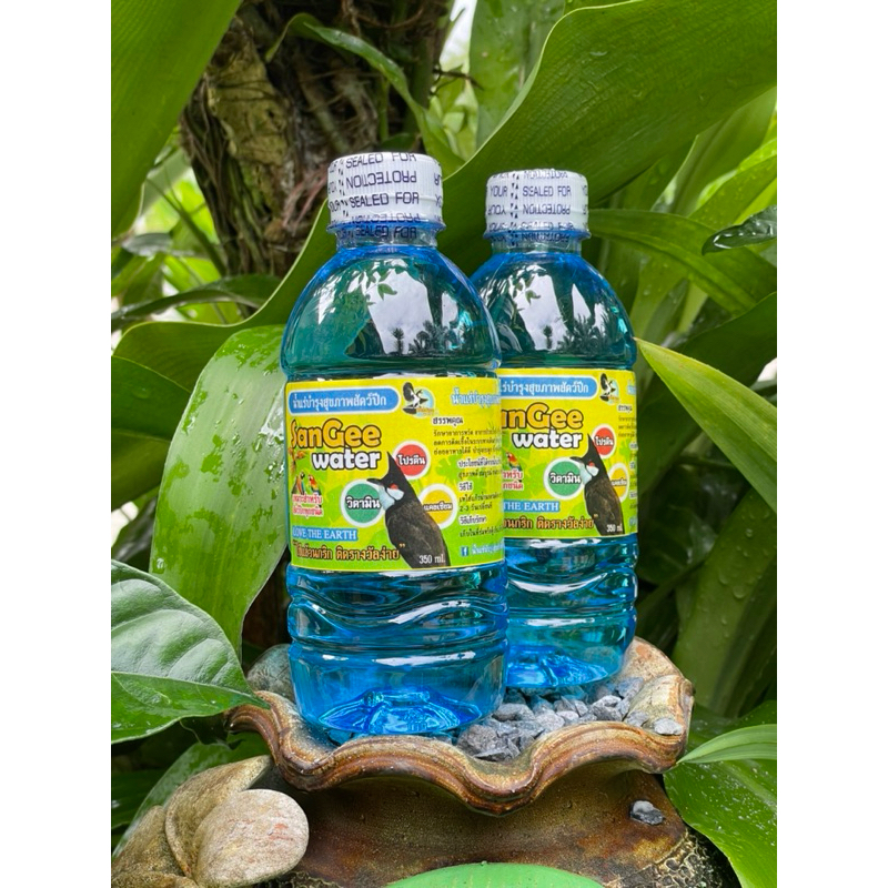 🚿น้ำแร่นก SanGee water 🚿น้ำแร่บำรุงสุขภาพสัตว์ปีก นกกรงหัวจุก