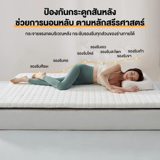 ที่นอนยางพารา100% 3ฟุต 3.5ฟุต 5ฟุต 6ฟุต ลดอาการปวด สัมผัสนุ่ม คลายแรงกดดัน
