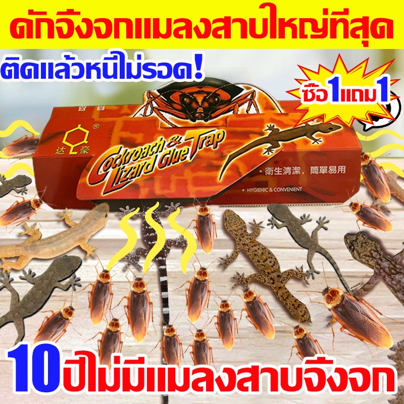 gecko trap ใหญ่ที่สุด กาวดักจิ้งจก ติดแล้วหนีไม่รอด กําจัด กับดักจิ้งจก ปลอดภัยและปลอดสารพิษ การจับต