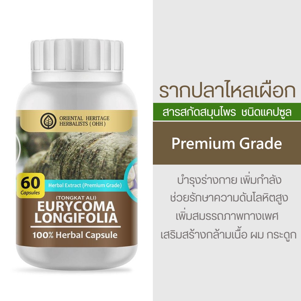 รากไหลเผือก Eurycoma Longifolia Herb Capsule Extract 100% (เกรดพรีเมี่ยม) 60 แคปซูล
