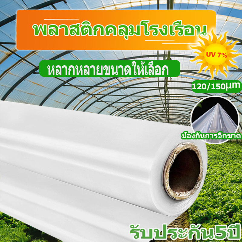 พลาสติกโรงเรือน คุม โรงเรือน พลาสติกคลุมโรงเรือน กันฝนgreenhouse หนา 150 ไมครอน UV7% โรงเรือนแคคตัส 