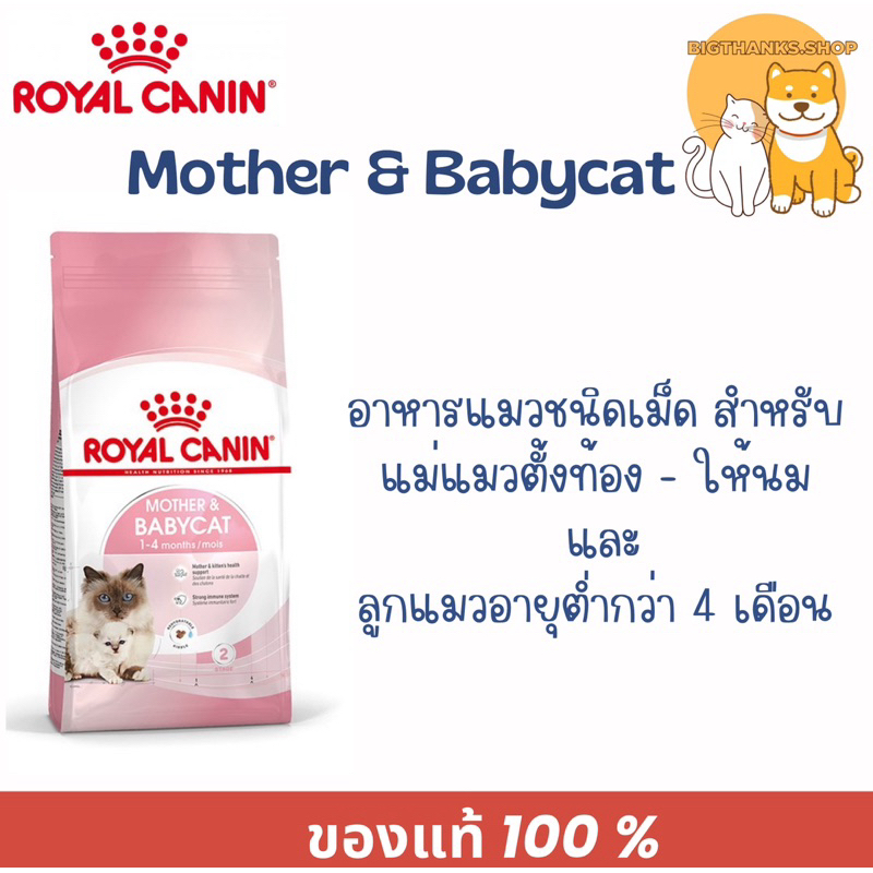 Royal canin Babycat 10 kg. exp 10/25 อาหารเม็ด สำหรับแม่แมวช่วงตั้งท้องและช่วงให้นม และสำหรับลูกแมว