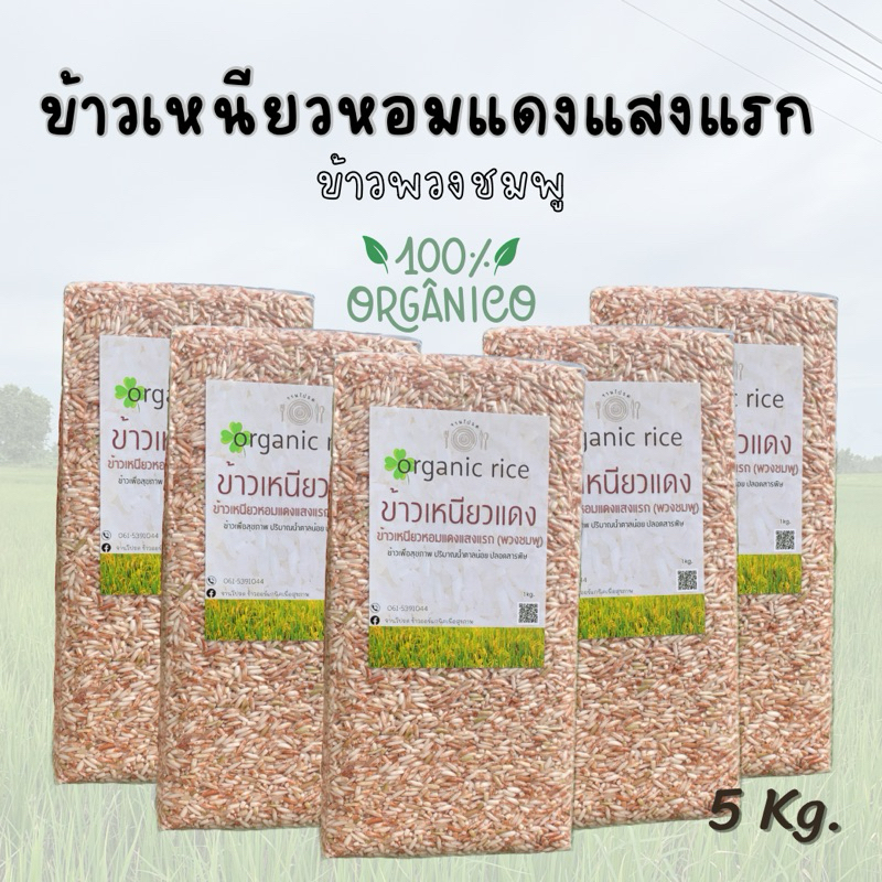 ข้าวเหนียวแดง 5 กก. ข้าวเหนียวหอมแดงแสงแรก (พวงชมพู) ข้าวออแกนิคข้าวใหม่ หอม นุ่ม ปลอดสารพิษ