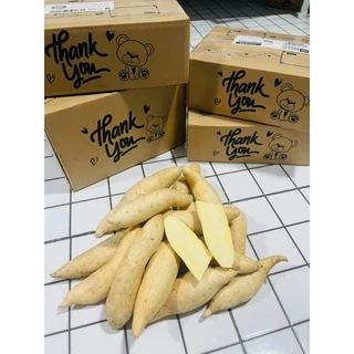 มันหวานมันขาวผักกาด1500กรัม(1โลครึ่ง)59฿เท่านั่น(คัดไซส์ คัดแมง ไร้สารเคมี)หัวสวยๆจากไร่ชมมณี