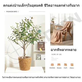 【สั่งแล้วฟรีกระถางดอกไม้ 】ต้นโอลีฟ ต้นมะกอกปลอม ของตกแต่งในร่ม ลำต้นสีน้ำตาลเหมือนของจริง ต้นไม้ปลอมใหญ่
