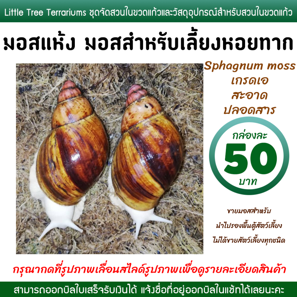 มอสเลี้ยงหอยทาก มอสแห้ง สแฟ็กนั่มมอส Sphagnum moss กล่องละ 50 บาท