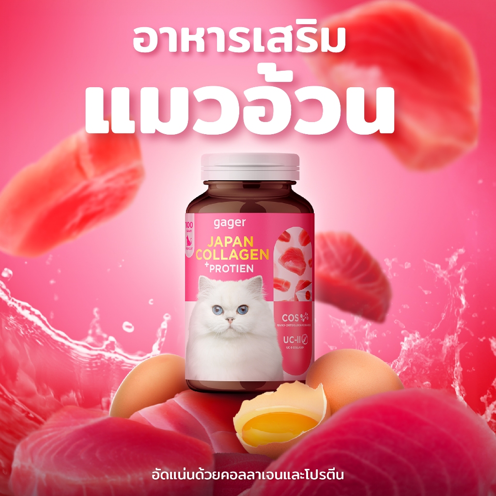 Gager (กาเจอร์) อาหารเสริมแมวอ้วน ผงคอลลาเจนแมว ผงคอลลาเจนแมวอ้วน ผงโปรตีนเสริมสร้างกล้ามเนื้อทำให้อ
