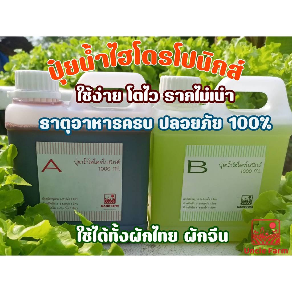 ปุ๋ยAB ไฮโดรโปนิกส์ ขนาด 1 ลิตร (A1ลิตร+B1ลิตร) สูตรเข้มข้น 1:100