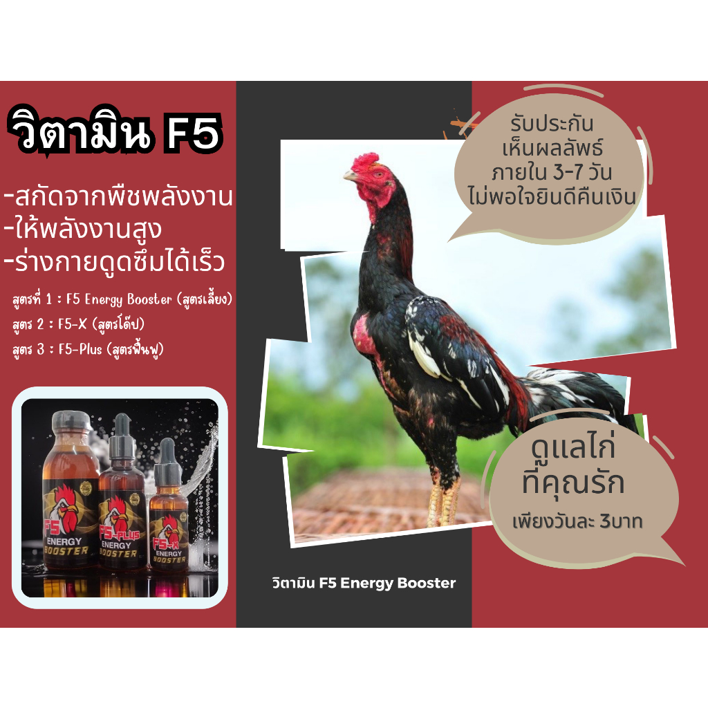 วิตามินไก่ ชุดเลี้ยงไก่ F5 Energy Booster ยาไก่ชน ยาบำรุงไก่