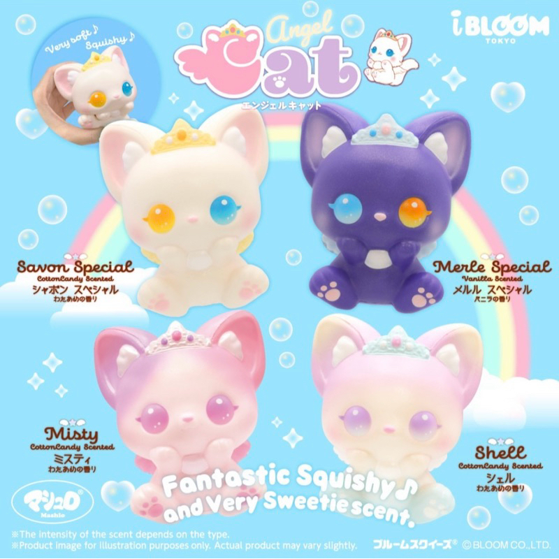 I Boom Angel Cat 😺 แมวไอบูมมาใหม่