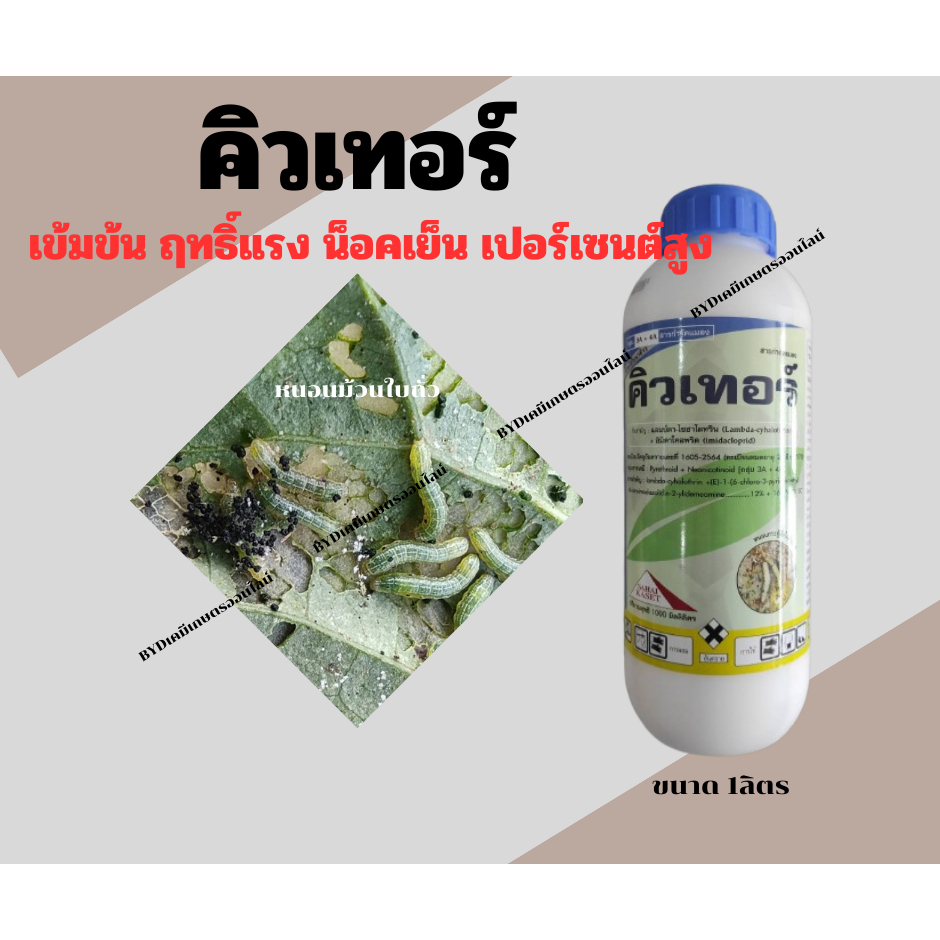 คิวเทอร์ 1ลิตร สารแลมป์ด้า-ไซฮาโลทริน+อิมิดาโคลพริด สูตรเย็นเข้มข้น น็อคแมลงตายไว และดูดซึมคุ้มครองนาน