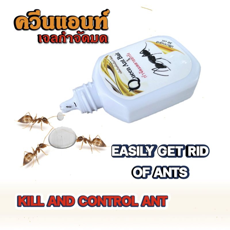 เหยื่อกำจัดมด Queen ant Bait ปลอดภัยกับคน ฆ่ามดยกรัง อาหารมด เจลกำจัดมด ฆ่ามดทั้งรัง(ขนาดบรรจุ 30 กรัม)