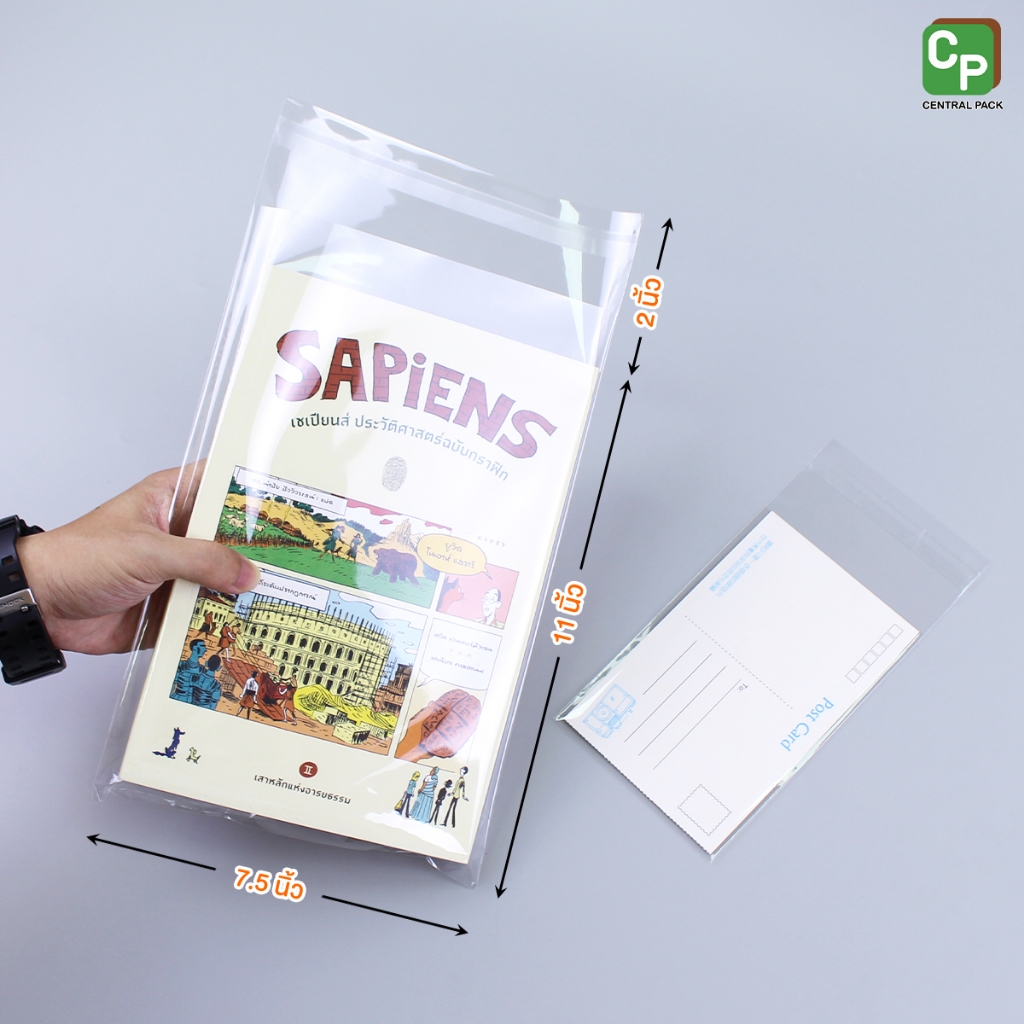 รูปภาพ 8