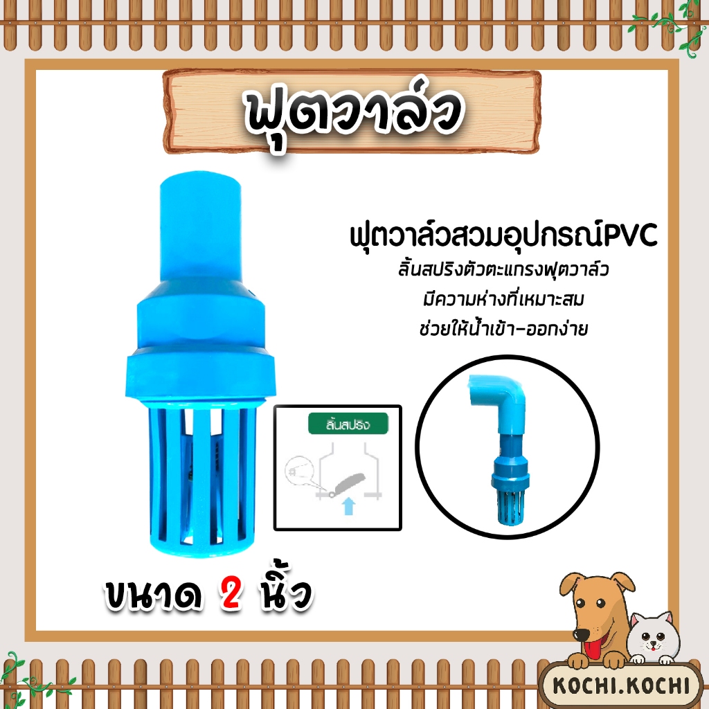 ฟุตวาล์ว PVC สวมท่อและอุปกรณ์ลิ้นสปริง สีฟ้า มีขนาดสวมทับท่อให้เลือกตั้งแต่ 3/4นิ้ว - 2นิ้ว