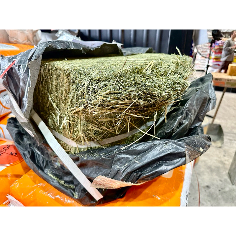 Kin Kin หญ้าอัลฟาฟ่า หญ้าทีโมธี Timothy / Alfalfa Hay หญ้า กระต่าย แพรี่ด๊อก แก๊สบี้ หนูตะเภา 500 g. - รูปที่ 3